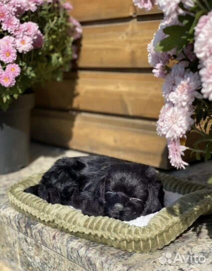 Щенок лабрадора с дыханием Perfect Petzzz