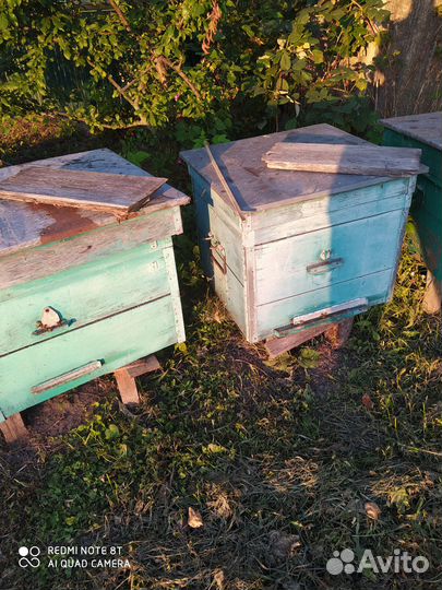 Ульи с пчелами