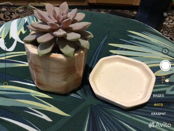 Слоны на счастье 7 шт. Статуэтки сувениры