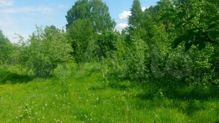 Участок 22 сот. (ИЖС)