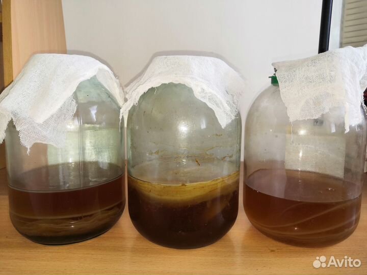 Гриб на чаи