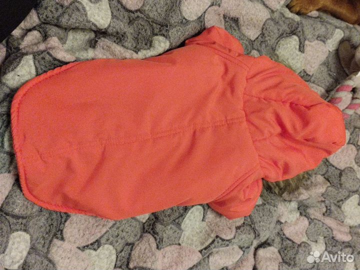 Куртка для собак мелких пород зимняя