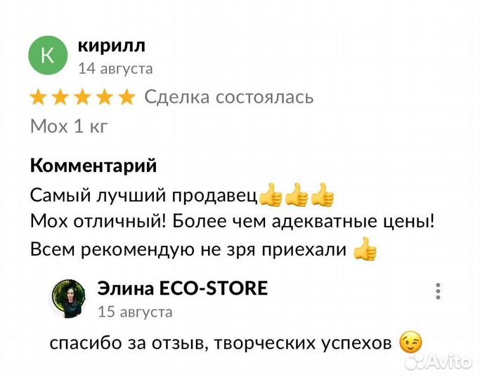 Озеленение компании + логотип 40 кв.м