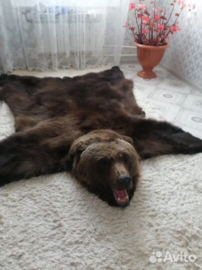 Шкура медведя имитация