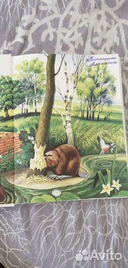 Учебники 1 класс школа россии