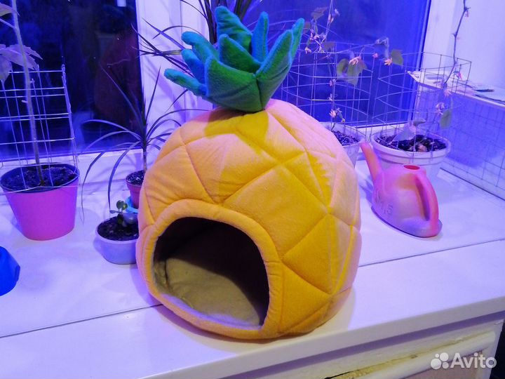 Кошачий домик