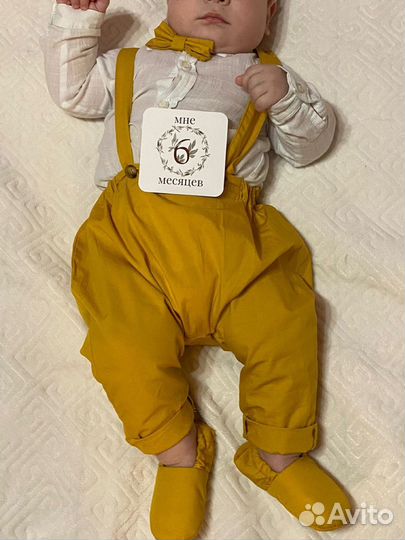 Костюм брюки, моксы, бабочка 86