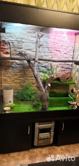 Террариум для рептилий