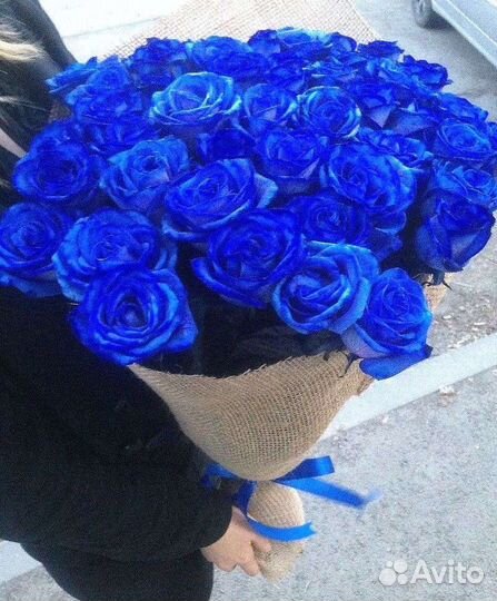 Синие розы 101 роза