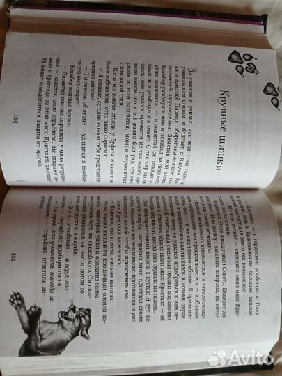 Секрет сфинкса из серии Дети леса