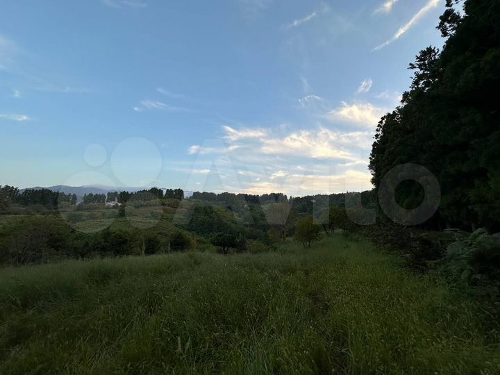 Участок 2200 м² (Грузия)