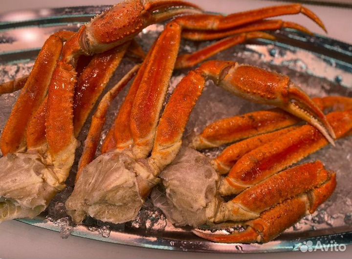 Клешни краба стригуна оптом