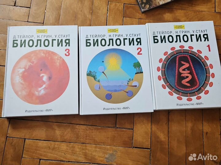 Биология грин стаут тейлор