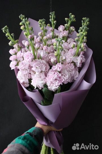 Маттиола розовая. Букет из маттиолы