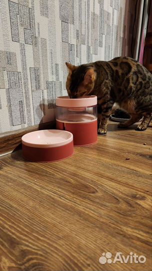 Миски для кошек