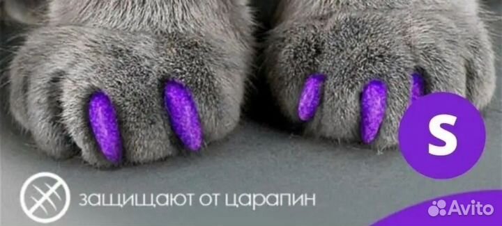 Анти Царапки для кошек, шлейка для кошки