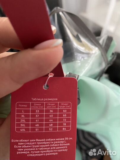 Дождевик для собаки