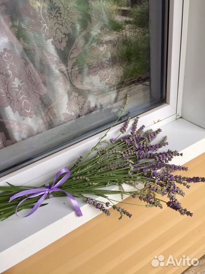 Саше лаванда
