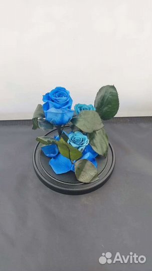 Роза в колбе