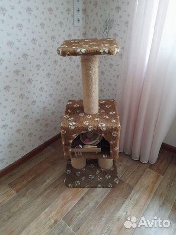 Домик для кошки с когтеточкой купить в Москве | Животные и зоотовары ...