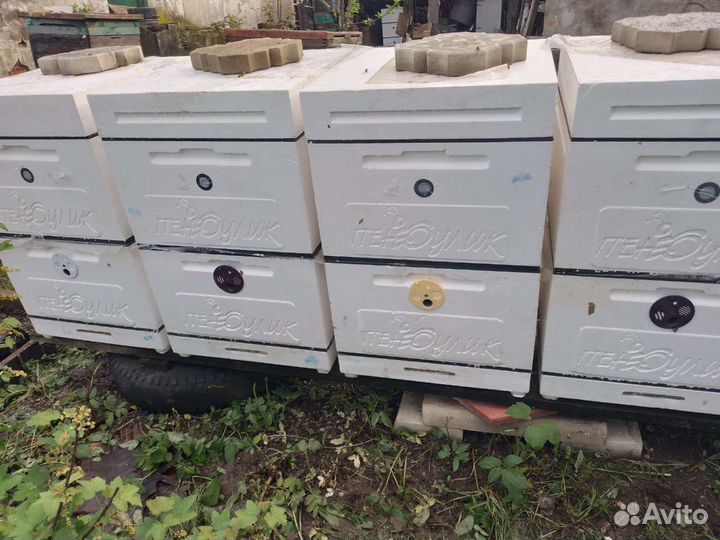 Мёд с собственной пасеки, из Краснодарского края