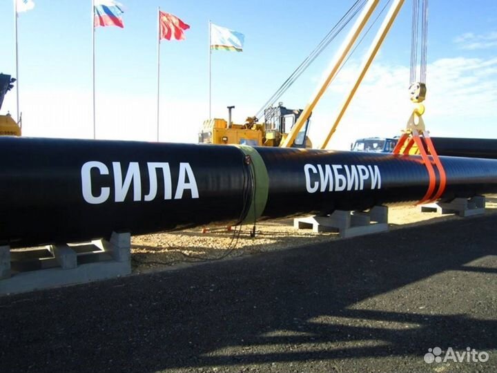Вахта машинист трубоукладчика