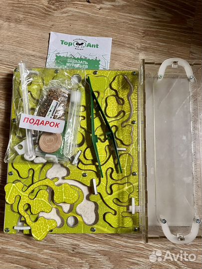 Муравьиная ферма бу