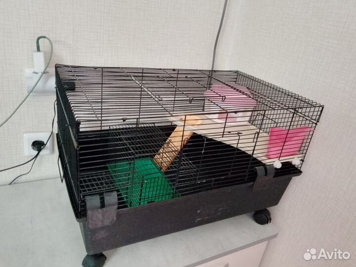 Две клетки для грызунов бу