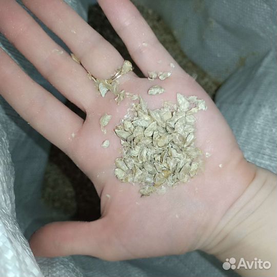 Корм для животных жмыхи после отжима