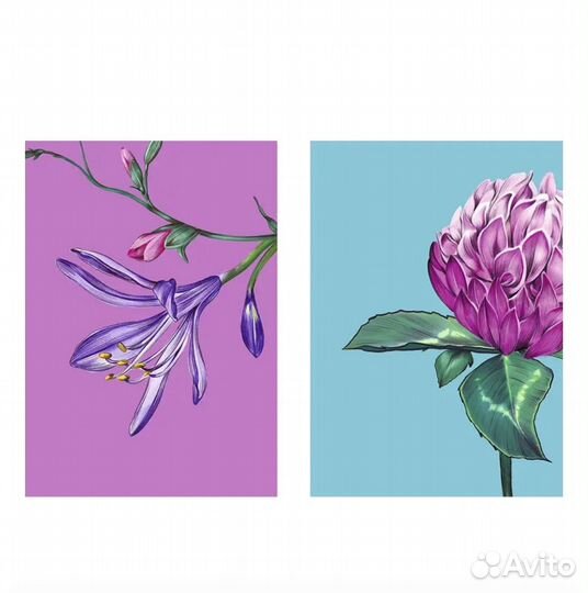 Постер 2шт 39/49