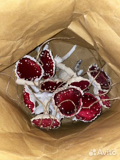 Мухоморы интерьерные