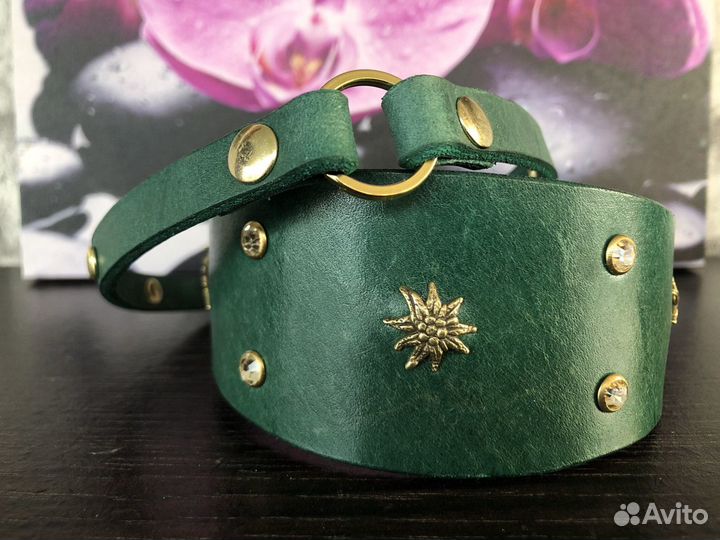 Ошейник для собак