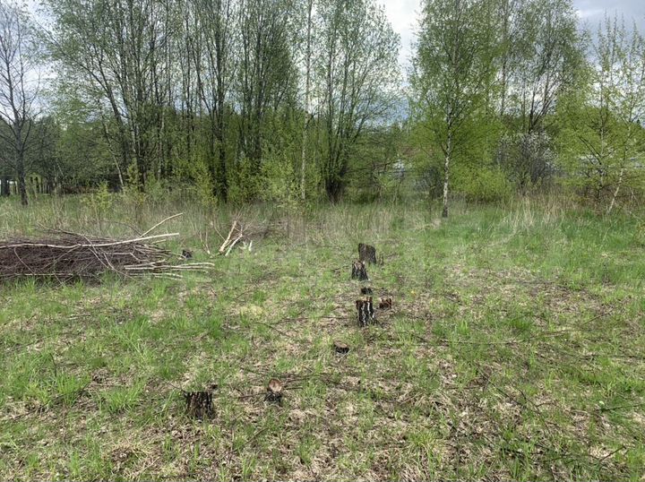 Участок 10 сот. (СНТ, ДНП)