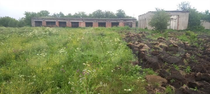 Участок 1,5 га (СНТ, ДНП)