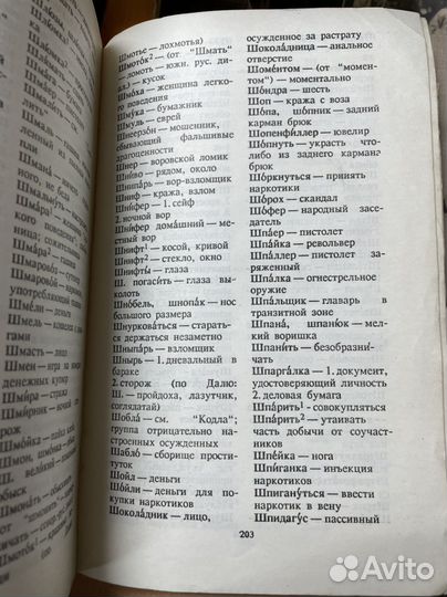 Толковый словарь уголовных жаргонов