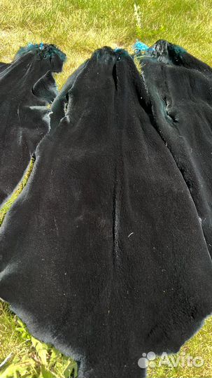 Шкуры выдры выделанной крашенной стриженной