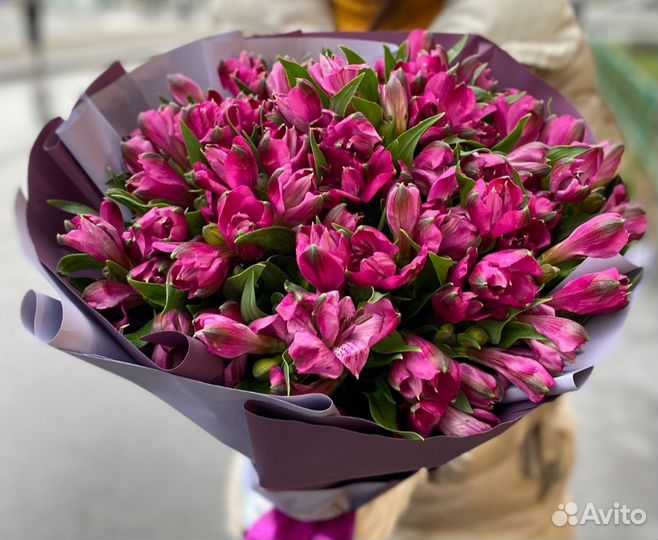 Альстромерия.Букет цветов купить