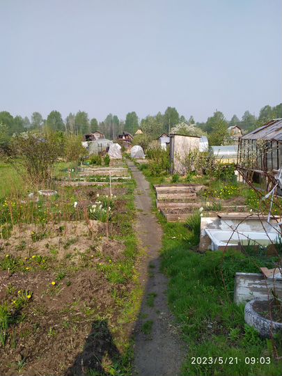 Участок 5 сот. (СНТ, ДНП)