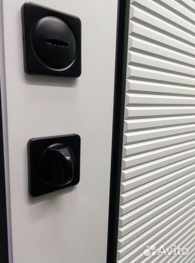 Дверь входная Штрих