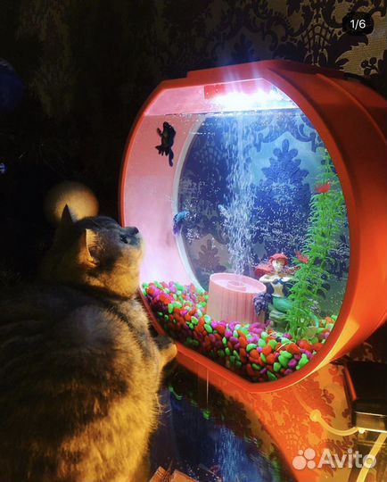 Аквариум