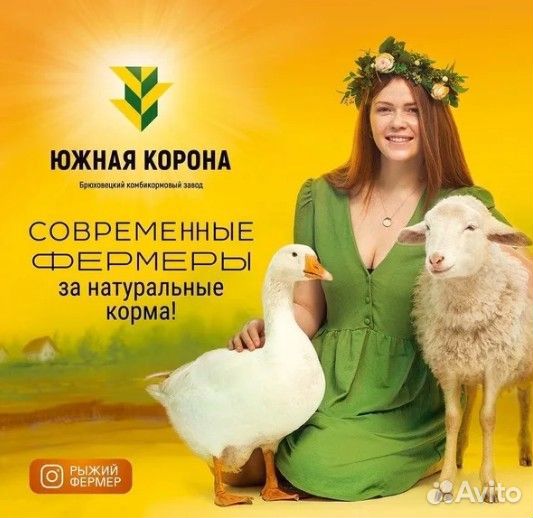 Комбикорм Южная Корона