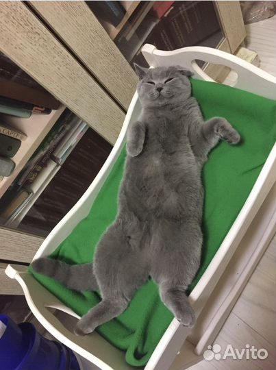 Кроватка двухярусная для питомцев.или кукол.Дерево