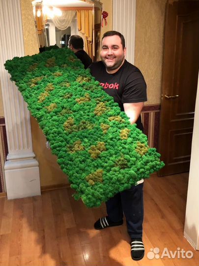 Стабилизированный мох, ягель, кочка, панно