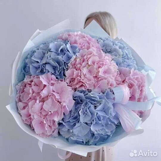 Живые цветы букеты гортензия, букет, доставка
