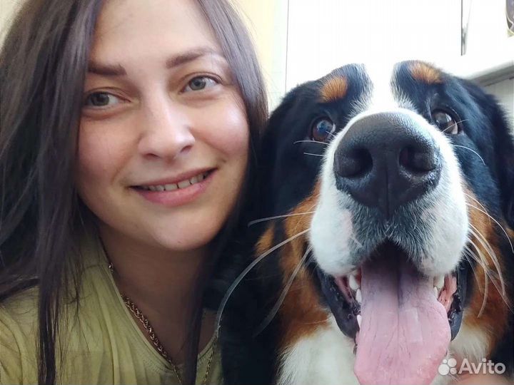 Груминг. Уход за животными