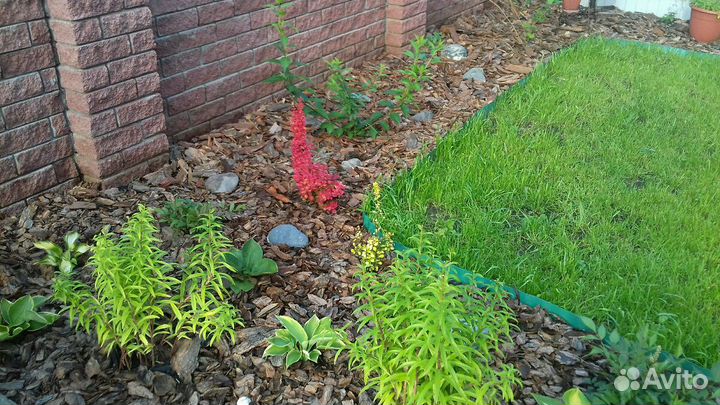 Мульча для сада и огорода