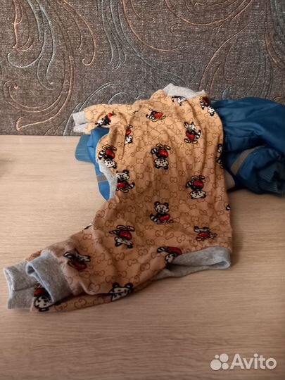 Комбинезон для собаки зимний для мальчика