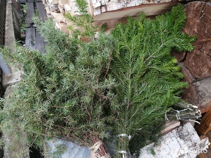 Веники Пихта, можевел, Берёза, липа