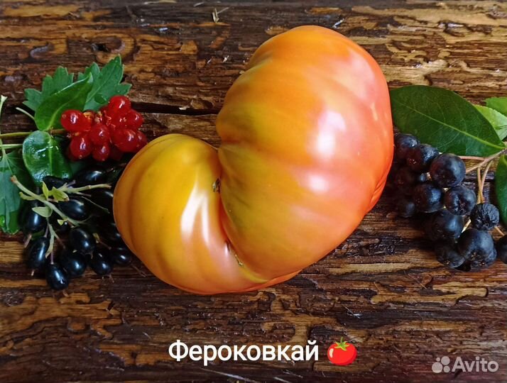 Семена томатов из серии Гном томатный