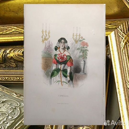 20 Антикварных гравюр Цветы Гранвиль 1852